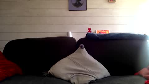 Manpo online show from October 12, 1:43 pm