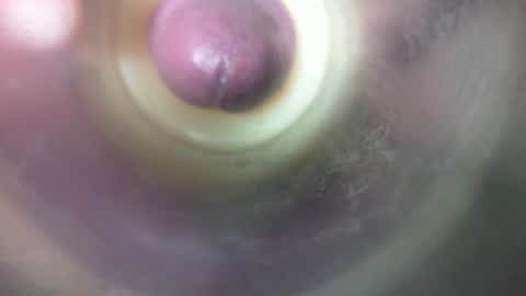 Snapshot of marcsexxy chatting on February 19, 8:49 pm Marc online show from February 19, 8:49 pm