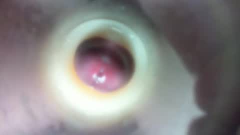 Snapshot of marcsexxy chatting on February 23, 1:58 am Marc online show from February 23, 1:58 am