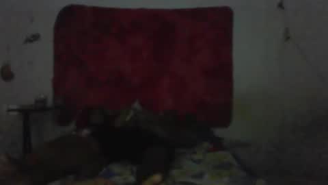 casal delicia online show from February 1, 9:13 pm