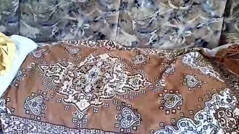 Snapshot of marian20242025 chatting on November 1, 7:10 am marian20242025 online show from November 1, 7:10 am