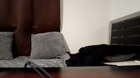 Snapshot of markbwcusmc chatting on January 15, 2:10 pm markbwcusmc online show from January 15, 2:10 pm