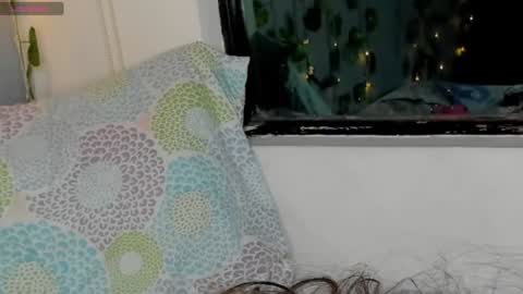 marly online show from January 17, 5:53 am