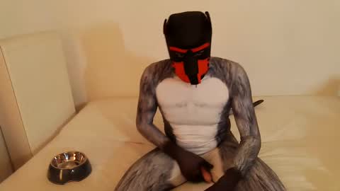 Snapshot of martin_ni chatting on February 14, 11:53 am martin_ni online show from February 14, 11:53 am