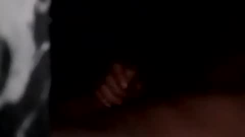 Snapshot of marylandguy20 chatting on December 20, 5:25 am Maryland Man online show from December 20, 5:25 am