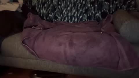 Masculine Hole online show from November 22, 7:29 am