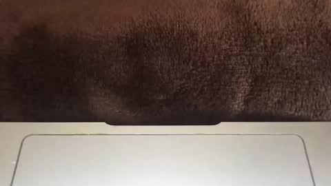 Snapshot of massivehungbigdick chatting on June 2, 9:06 pm massivehungbigdick online show from June 2, 9:06 pm