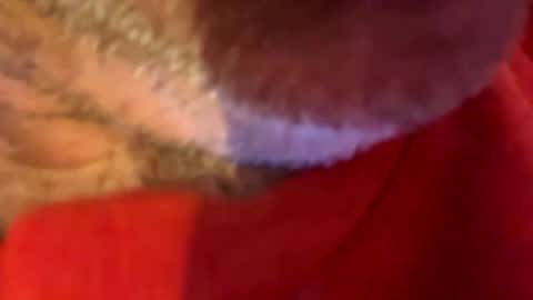 Snapshot of maverick7000 chatting on October 31, 8:59 am maverick7000 online show from October 31, 8:59 am