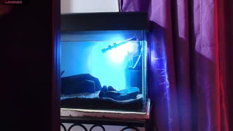 Max online show from March 9, 2:04 am