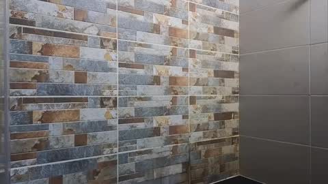 Sebastian online show from January 10, 12:06 am