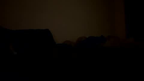 Snapshot of mb99667788 chatting on February 24, 3:15 am mb99667788 online show from February 24, 3:15 am