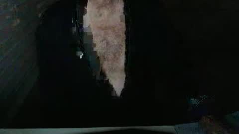 Snapshot of mbeastie chatting on November 5, 3:50 am Beastie online show from November 5, 3:50 am