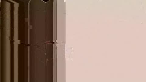 Bruh online show from November 13, 7:40 am