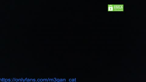 megan_cat online show from July 4, 5:19 pm