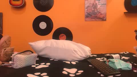 MEIS online show from November 27, 2:02 am