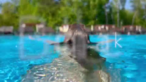 Adel online show from February 28, 6:09 pm