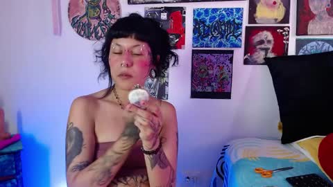 Melisa Velvet     online show from April 4, 7:55 pm