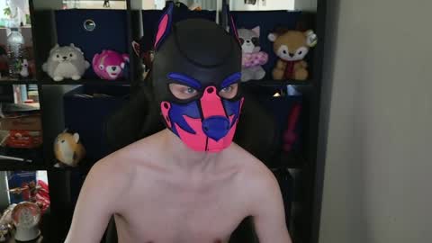 MellPUP online show from April 29, 6:36 pm