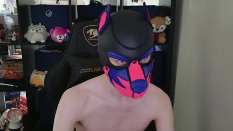 MellPUP online show from April 30, 6:03 pm