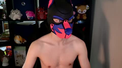 MellPUP online show from June 8, 8:42 pm