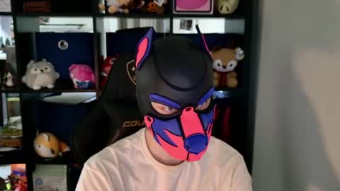 MellPUP online show from June 11, 6:28 pm