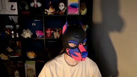 MellPUP online show from June 15, 11:23 am