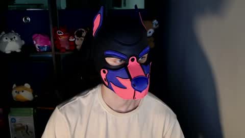 MellPUP online show from June 16, 11:46 am