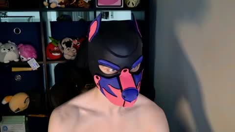 MellPUP online show from June 20, 3:15 pm