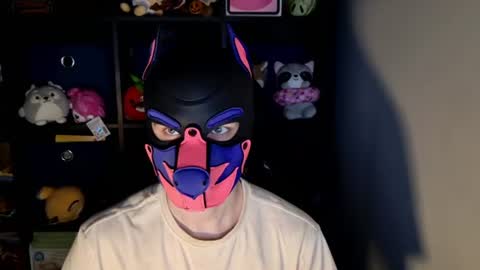 MellPUP online show from June 22, 11:29 am