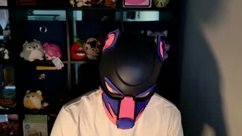MellPUP online show from June 23, 12:25 pm