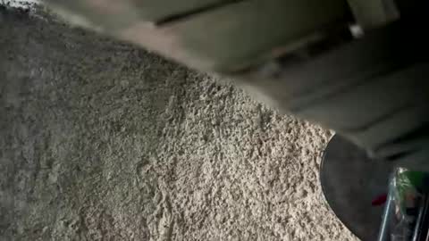 melodysnow online show from January 9, 12:52 pm