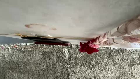 melodysnow online show from January 10, 6:31 pm