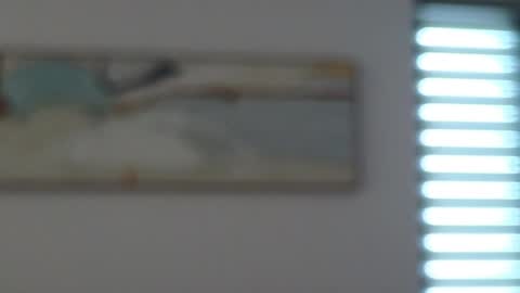 Mencialo online show from May 10, 4:39 am