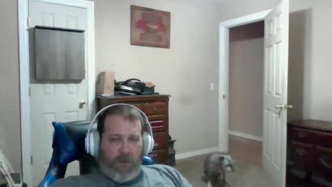 mercer1977 online show from June 14, 8:55 pm