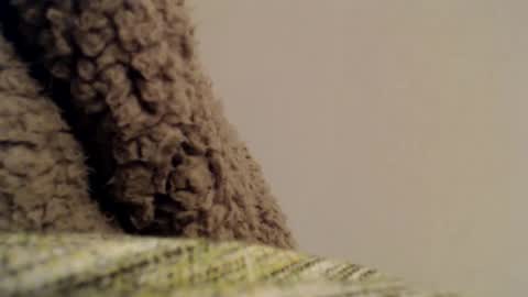 Snapshot of mesmerize88 chatting on February 6, 11:37 pm Mauro online show from February 6, 11:37 pm