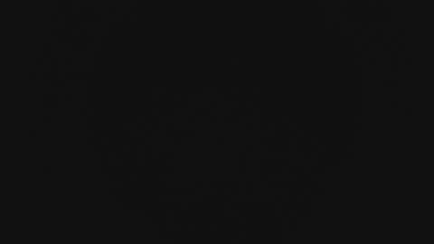 Snapshot of mewade chatting on February 13, 11:28 am Wade online show from February 13, 11:28 am