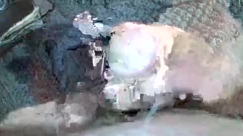 Snapshot of mexianthehawk chatting on November 3, 11:22 am mexianthehawk online show from November 3, 11:22 am