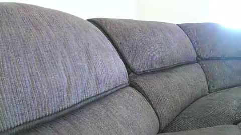 Snapshot of mexianthehawk chatting on January 18, 9:29 pm mexianthehawk online show from January 18, 9:29 pm