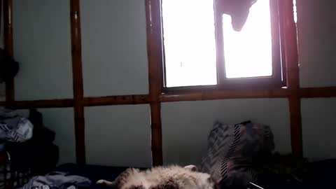 Mia  Sam online show from October 4, 4:05 pm