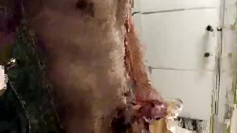 mickavis1975 online show from December 14, 5:40 pm