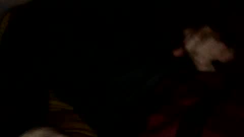 midiin online show from December 10, 5:39 am