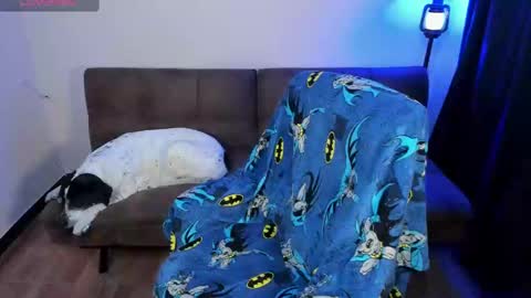 Blue online show from February 26, 4:25 am