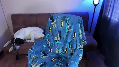 Blue online show from September 19, 3:34 pm