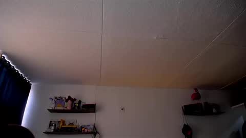 Pola  INDEPENDENT MODEL online show from March 3, 3:42 pm