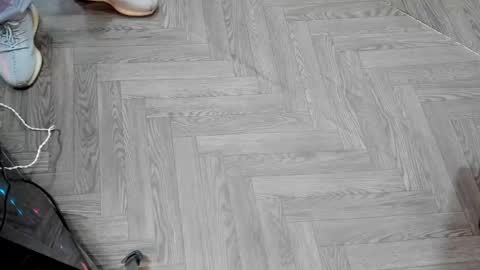 Mike2 wills online show from December 22, 3:44 am