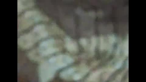 Snapshot of milfpussyeatdeep chatting on December 31, 9:06 pm milfpussyeatdeep online show from December 31, 9:06 pm