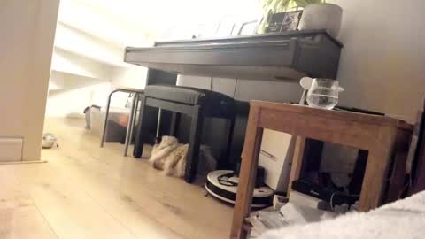 Snapshot of milu_curly chatting on March 5, 3:40 am Milu online show from March 5, 3:40 am