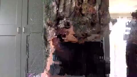 Snapshot of mince_alors chatting on November 24, 5:34 pm mince_alors online show from November 24, 5:34 pm