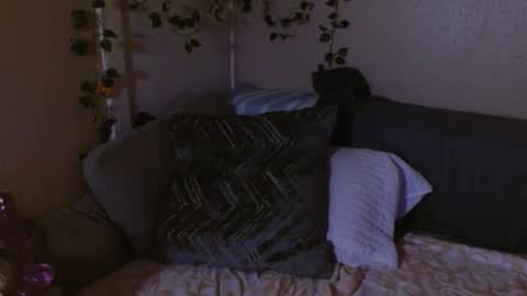 Snapshot of mindymounds chatting on February 19, 10:33 am Mindy online show from February 19, 10:33 am