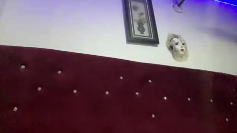 Missbelle online show from February 28, 9:16 pm